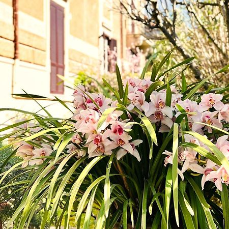 Villa Michelangelo Deluxe Рим Екстер'єр фото